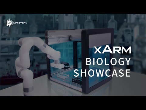 Vidéo YouTube - Wruqci76wJc