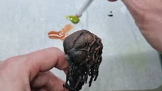 Da Vinci Dry Brush Set