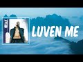 Nelly - Luven Me (Lyrics)