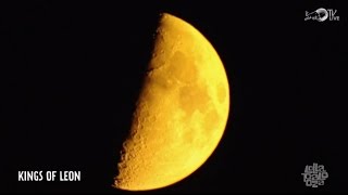 Kings of Leon - Crawl (Live @ Lollapalooza 2014)