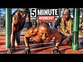 Calisthenics Muscle up Workout | @Bruce gunz | 5 Minute Workout Warm Up