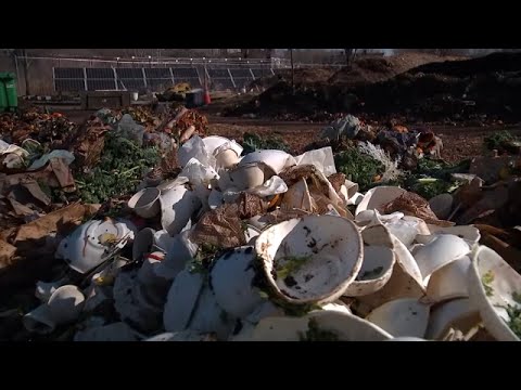 Dhaka Citywide Composting