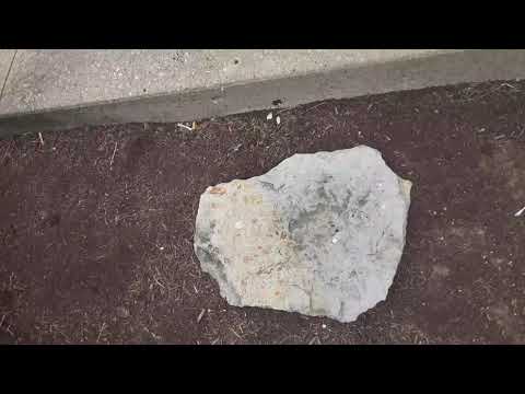 roadway in aka knights inn hotel room 202  #knightsinn #roadwayinn #hotel