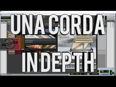 UNA CORDA | IN DEPTH