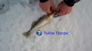 Рыбалка на зимние воблеры