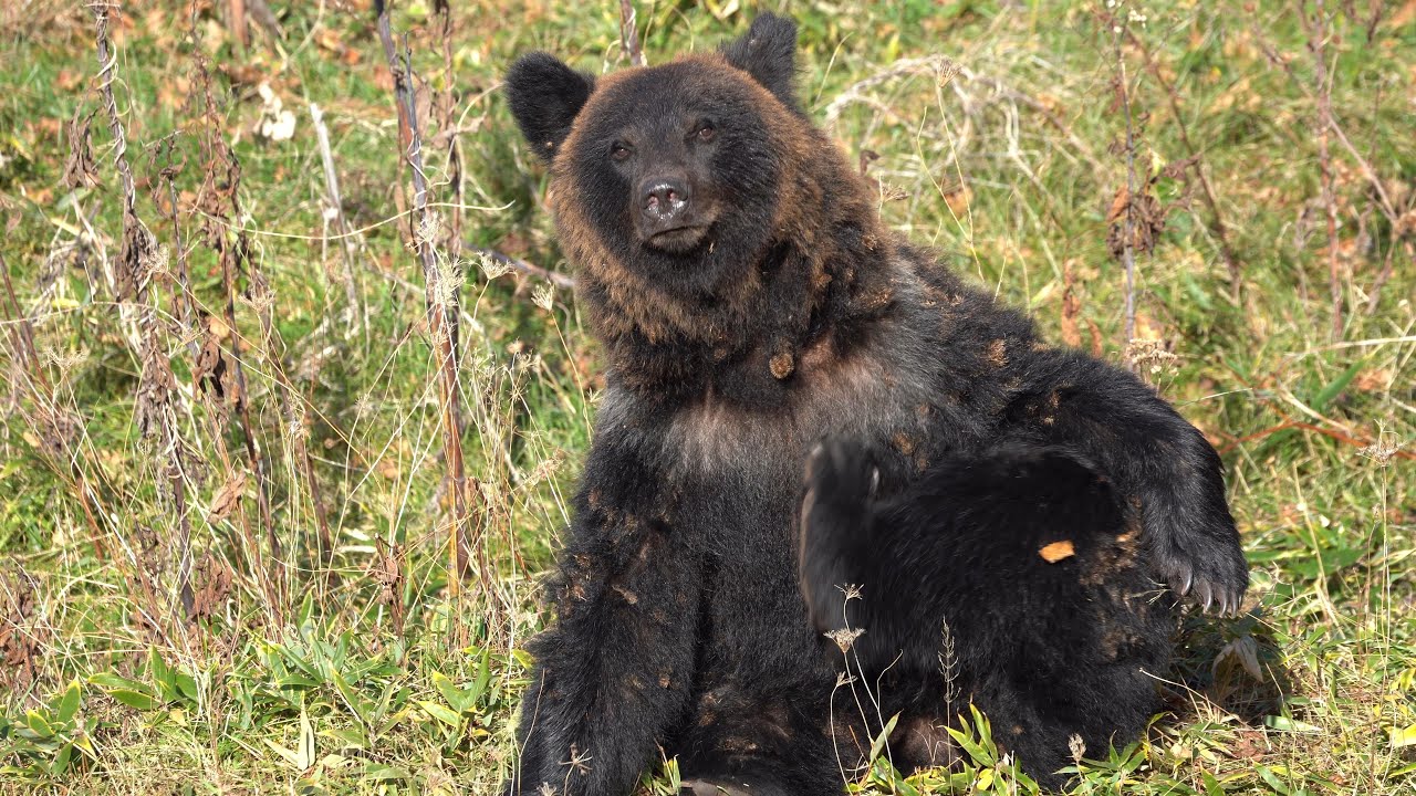 今日はちょっとだけライブ