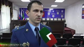 Несколько лет назад в Грозном открылся приют для бродячих собак и кошек 