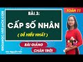 Toán 11 Chân trời sáng tạo Bài 3: Cấp số nhân