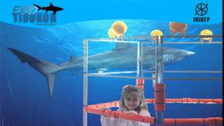 DIA 2 Expo Tiburon291