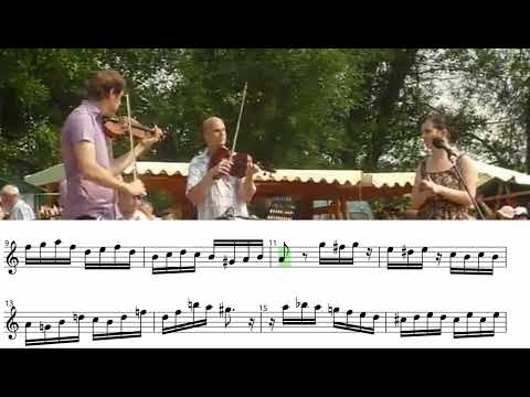 Nane cocha | Tomáš Lupták - Sólo Transcription 🎻