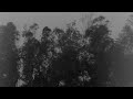 Xxxtentacion Skin Instrumental Slowed And Reverb