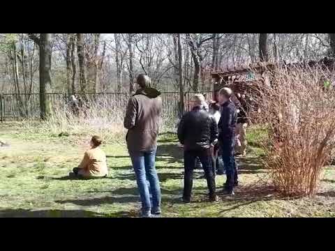 WhatsApp Video 2022 03 20 at 17 44 15