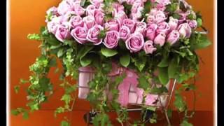 Rancho das Flores Jesus Alegria dos Homens Banda do Corpo de Bombeiros e Coral RJ Fagner   YouTube