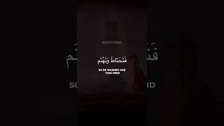 Download lagu Nasheed | | Mishari Rashid Alafasy | English Translation mp3