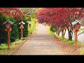 [AS BUMP] Matthew Dear - Elementary Lover [2018]
