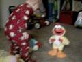 Chicken Dance Baby