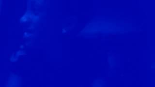 [dope intro] first video