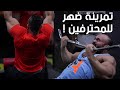 تمرينة ظهر كاملة للمحترفين مع صهيب حلمي ومحمود منير