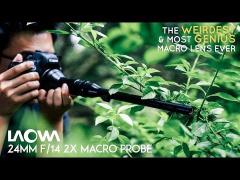 Revolutionize Macro Videography