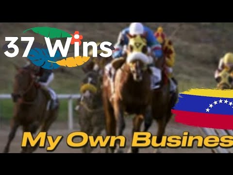 My Own Business. The best horse in the history of Venezuela? 🏇🏇