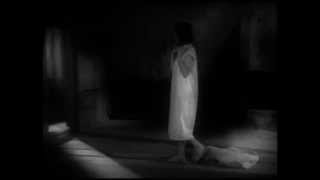 The Mountain Goats | Never Quite Free