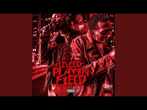 Level'd Playin' Field