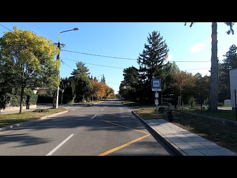 Siófok 2-es járat; Autóbusz-állomás - Sóstó, kemping