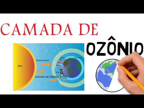 The Ozone Layer and Its Importance