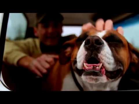 Wade Hayes • Go Live Your Life • Music Video