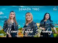SENADA TRIO MEMORI TUKTUK SIADONG LAGU POP BATAK TERBARU 2025 OFFICIAL MUSIC VIDEO