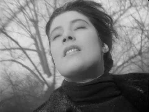 Letyat zhuravli (1957)