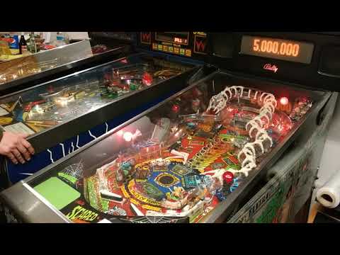 Elvira's SCARED STIFF Pinball Machine - Mind Blowing