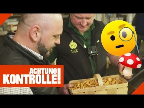 Pfifferling-Kontrolle im Großmarkt! 🍄 Trocken oder vollgesaugt? | Kabel Eins | Achtung Kontrolle