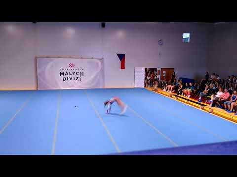 58. A-STYL Dragons- Natálka Peslová