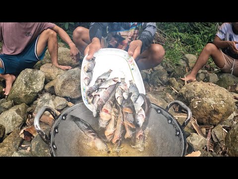 P2.Ang daming hito sa malinaw at maliit na sapa sa bukid! catchNcook