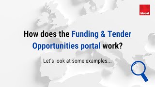 How does the European Commission Funding & Tender Opportunities portal