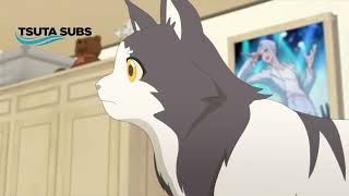 Conheça este anime de gatos! 🐱 (Trecho de "Mao Xian Dong De Shou!" [猫先动的手] Legendado
