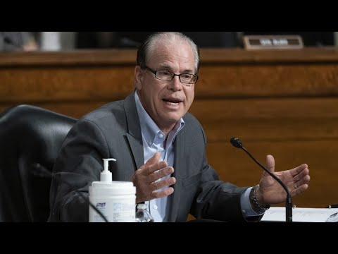 Sen. Mike Braun says interracial marriage legalization should be up to states, not federal gov't
