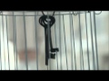 Zia - Like Her