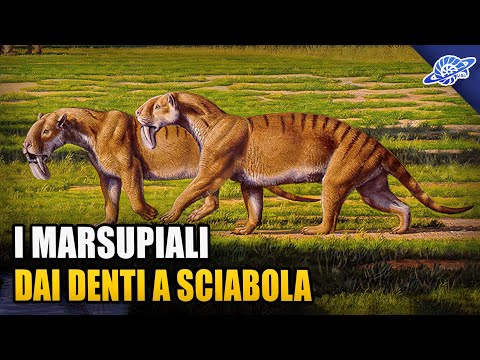 SABER-TOOTHED MARSUPIALS