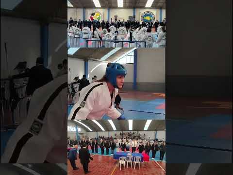 8vo Torneo de Taekwondo en Tunuyán, Mendoza | Resumen Oficial
