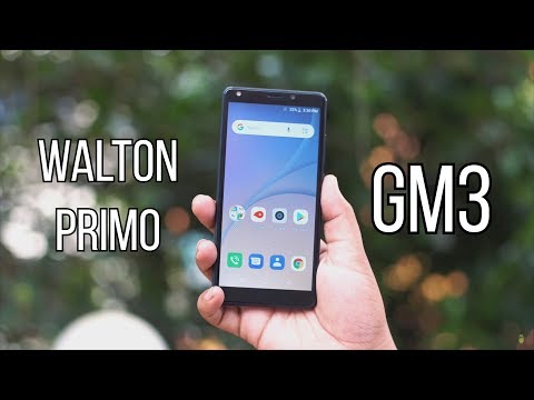 Walton Primo GM3 Review