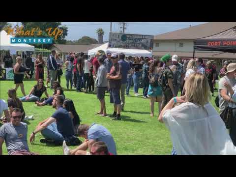 Monterey Beer Festival | Monterey Event | WhatsUpMonterey.com