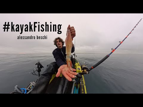 OBIETTIVO DENTEX ( traina con il vivo )