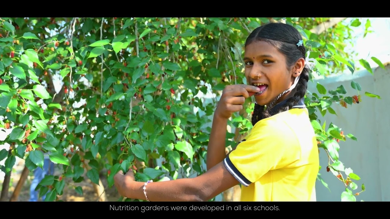 बूँद-बूँद में बदलाव | Tackling the Fluoride Crisis in Kanker, Chhattisgarh | WaterAid India