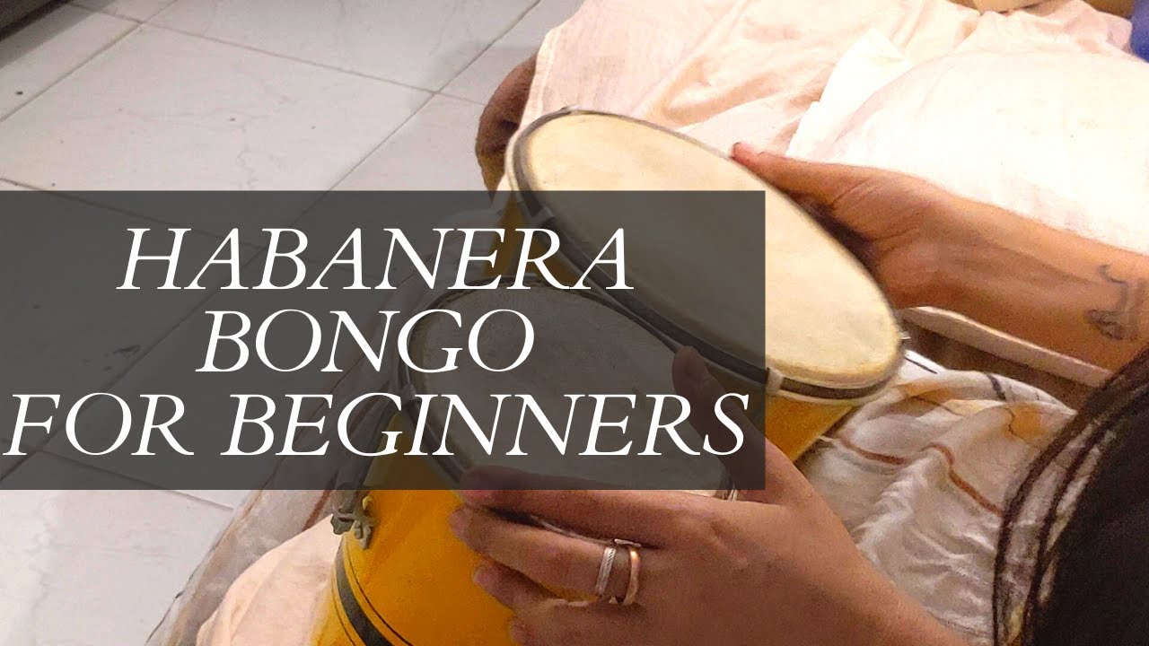 Bongo for beginners | Habanera on Bongo | Basic beats on Bongo