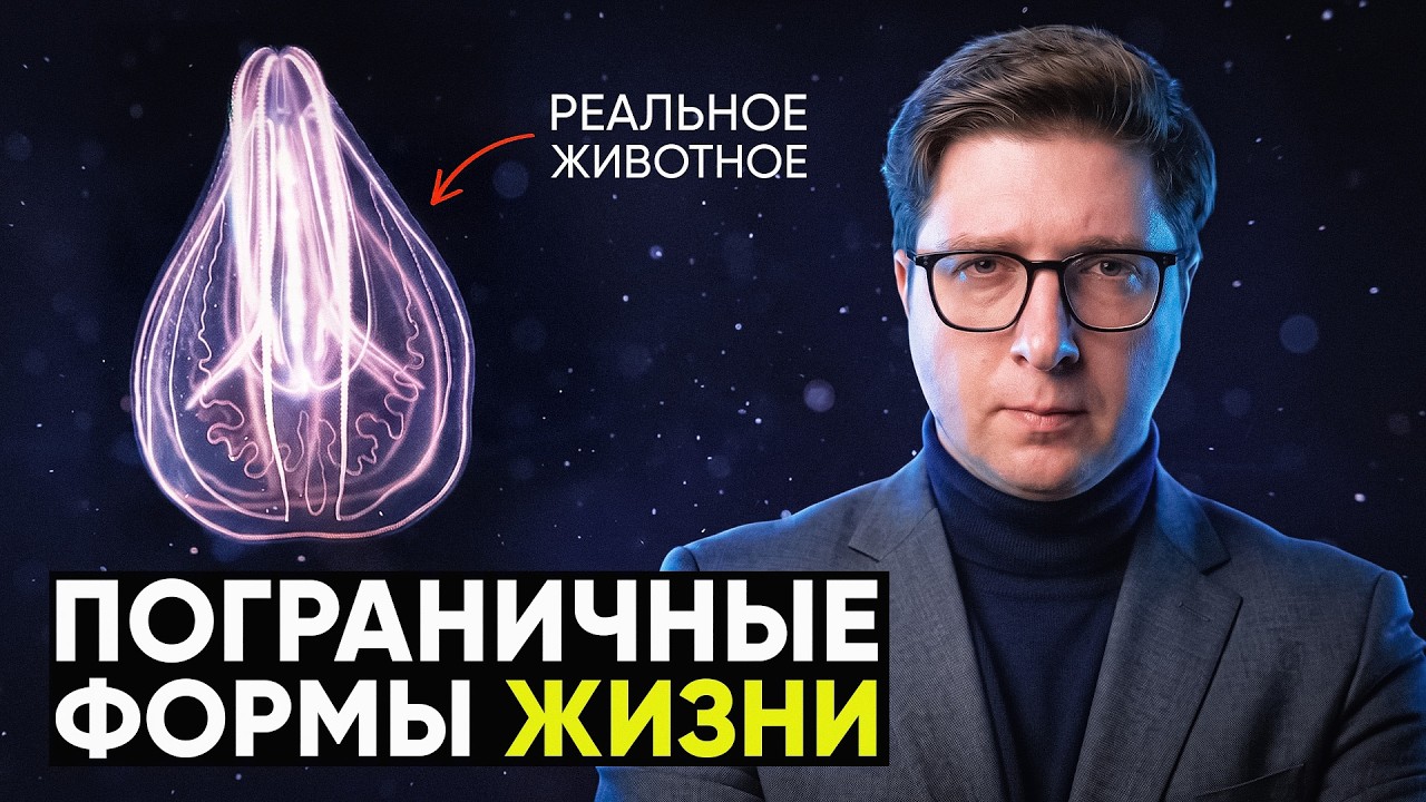 Где заканчивается ЖИВОЕ и начинается ИНОЕ | Безумные научные идеи