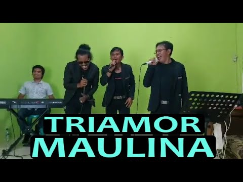 MANTAP..!! MAULINA - TRIAMOR.(Live/Cover) ||
