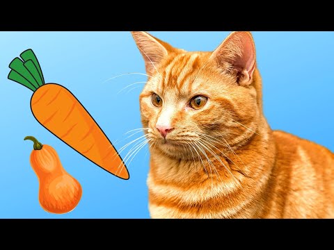ORANGE CAT EATING HIS VEGGIES! 😲 (Funny Orange Cat Videos)