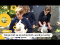 Kinderen in Amersfoort knuffelen vandaag extra met dieren op school